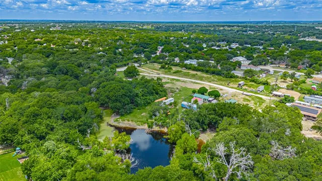 a view of a lush green field with plants and large trees