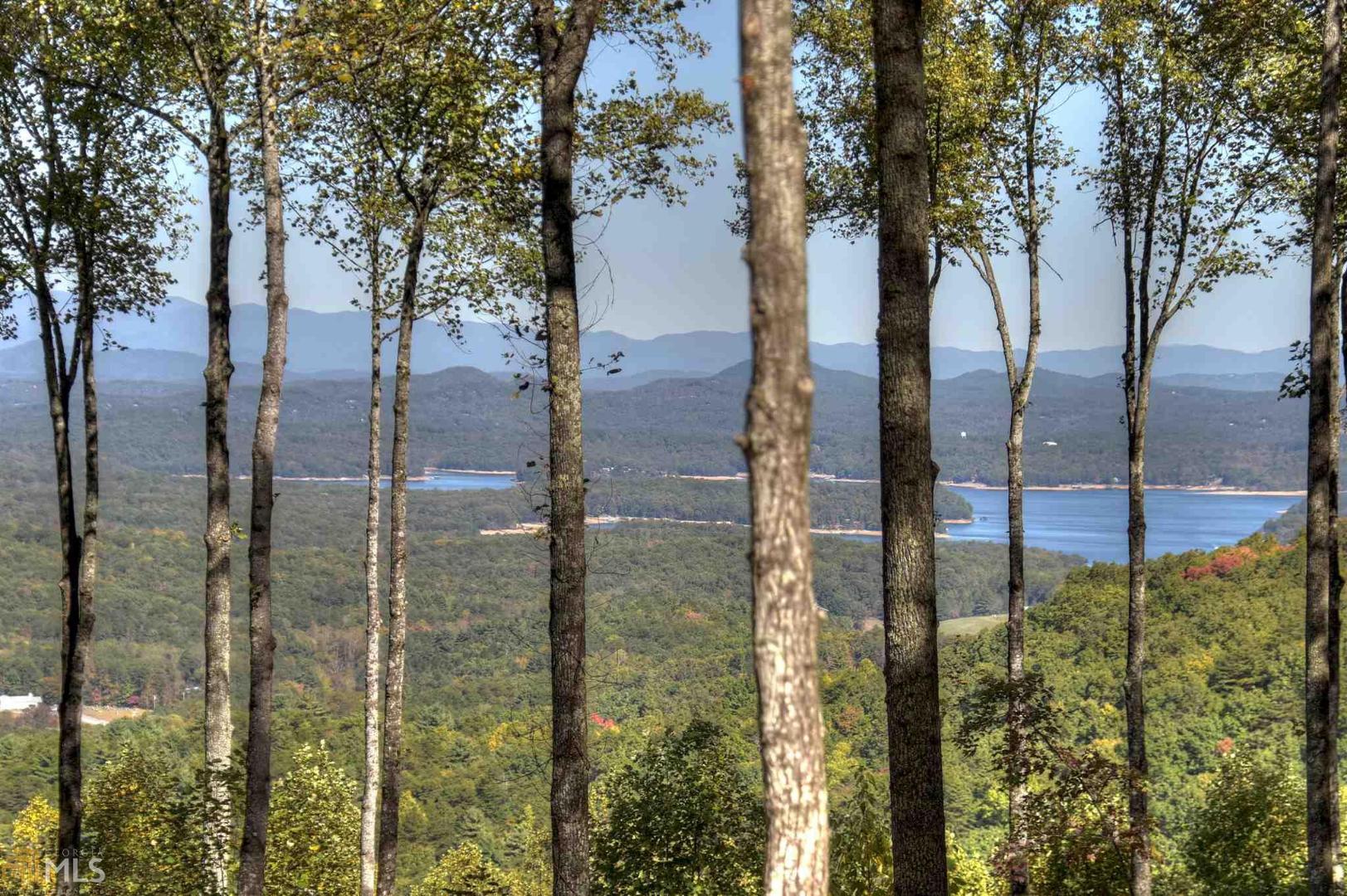 63 Upper Rocky Face Road, Unit 10 Blue Ridge, GA 30513 - Photo 1 of 1