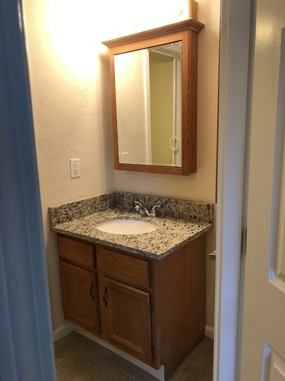 306 Trailside Way, Unit 306 Ashland, MA 01721 - Photo 9 of 18