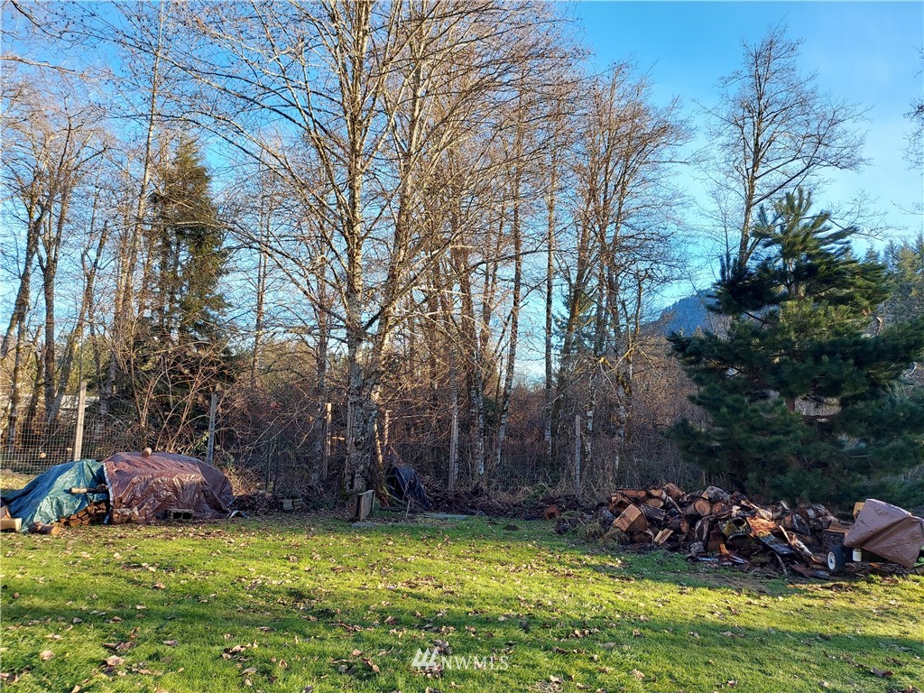 103 Aberdeen Road Morton, WA 98356 - Photo 17 of 22 Gallery Image 17