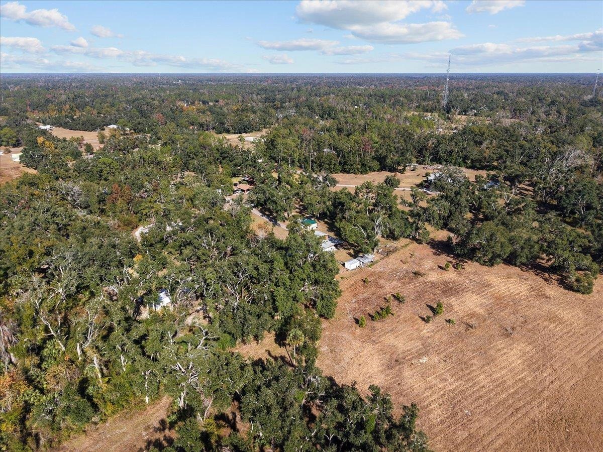 2072 Hugh Lilliott Road Perry, FL 32347 - Photo 11 of 41