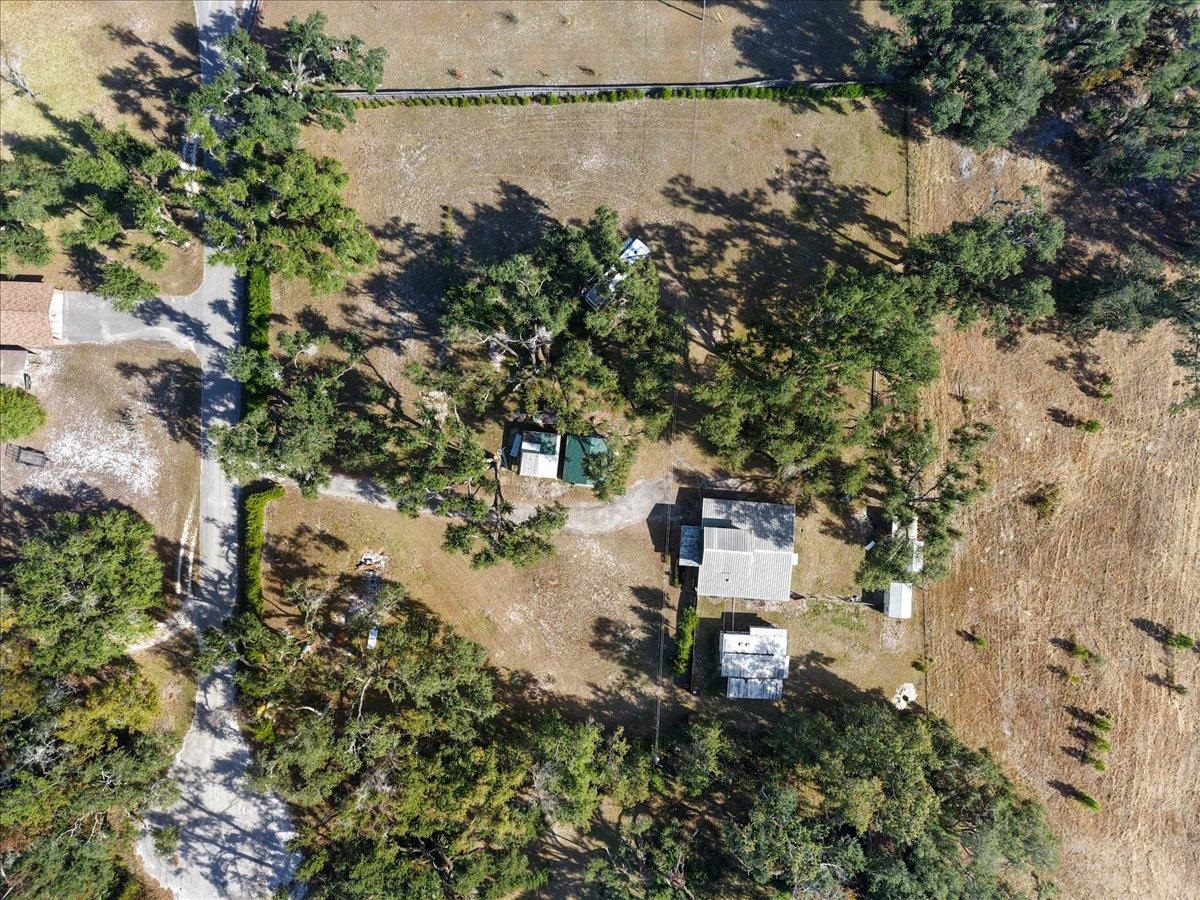 2072 Hugh Lilliott Road Perry, FL 32347 - Photo 12 of 41