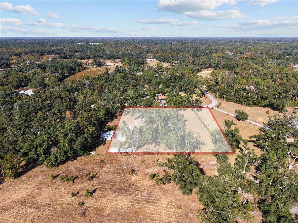 2072 Hugh Lilliott Road Perry, FL 32347 - Photo 4 of 41