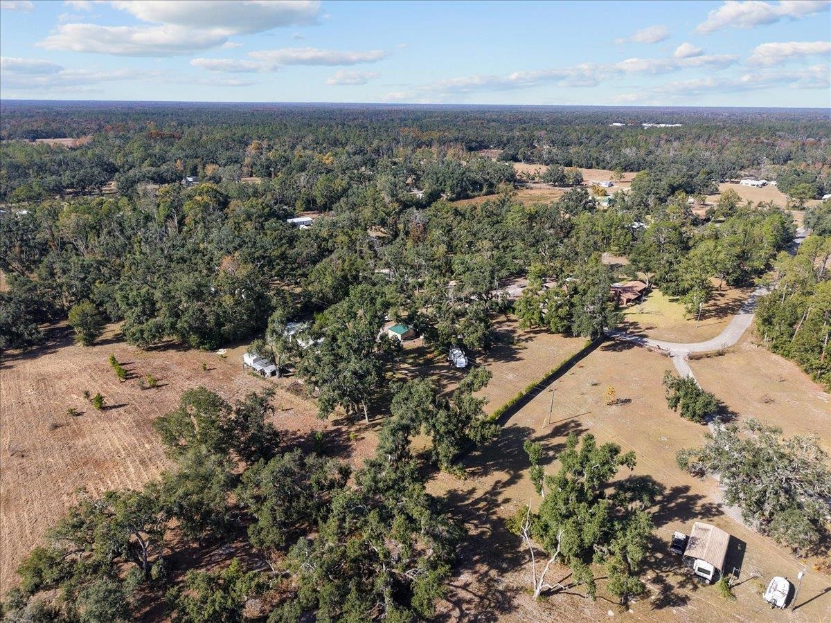 2072 Hugh Lilliott Road Perry, FL 32347 - Photo 6 of 41