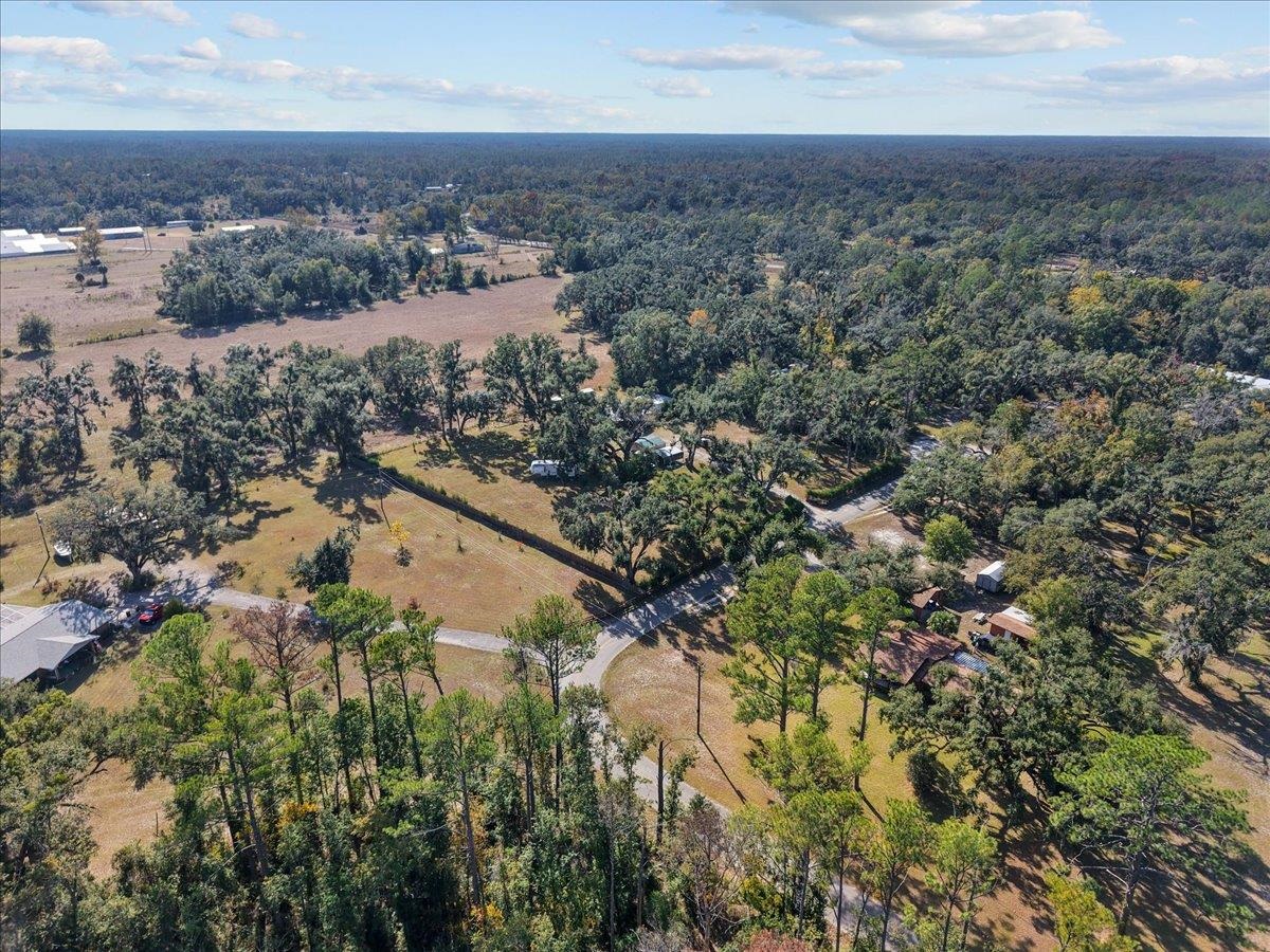 2072 Hugh Lilliott Road Perry, FL 32347 - Photo 9 of 41