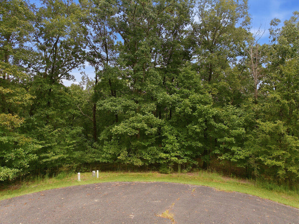38-39 Hawkridge Road Murray, KY 42071 - Photo 12 of 13 DJI_20260910083838_0150_D
