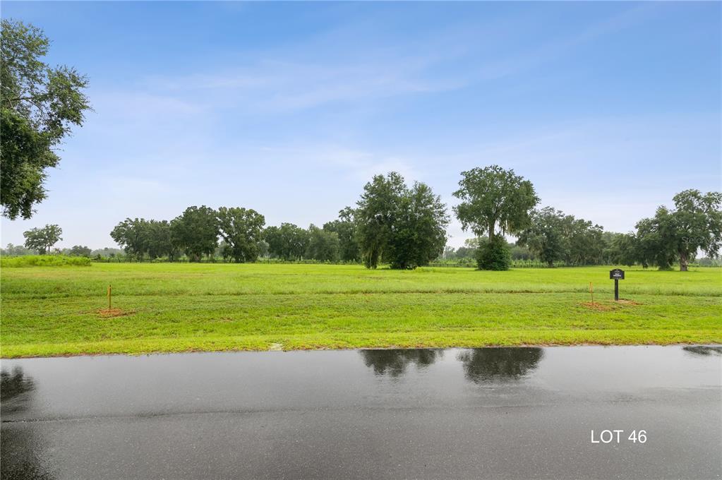 46 Southwest 125th Circle Archer, FL 32618 - Photo 5 of 14