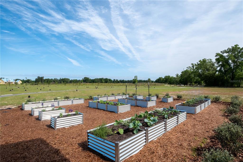 46 Southwest 125th Circle Archer, FL 32618 - Photo 5 of 12 a view of a lake with a city view