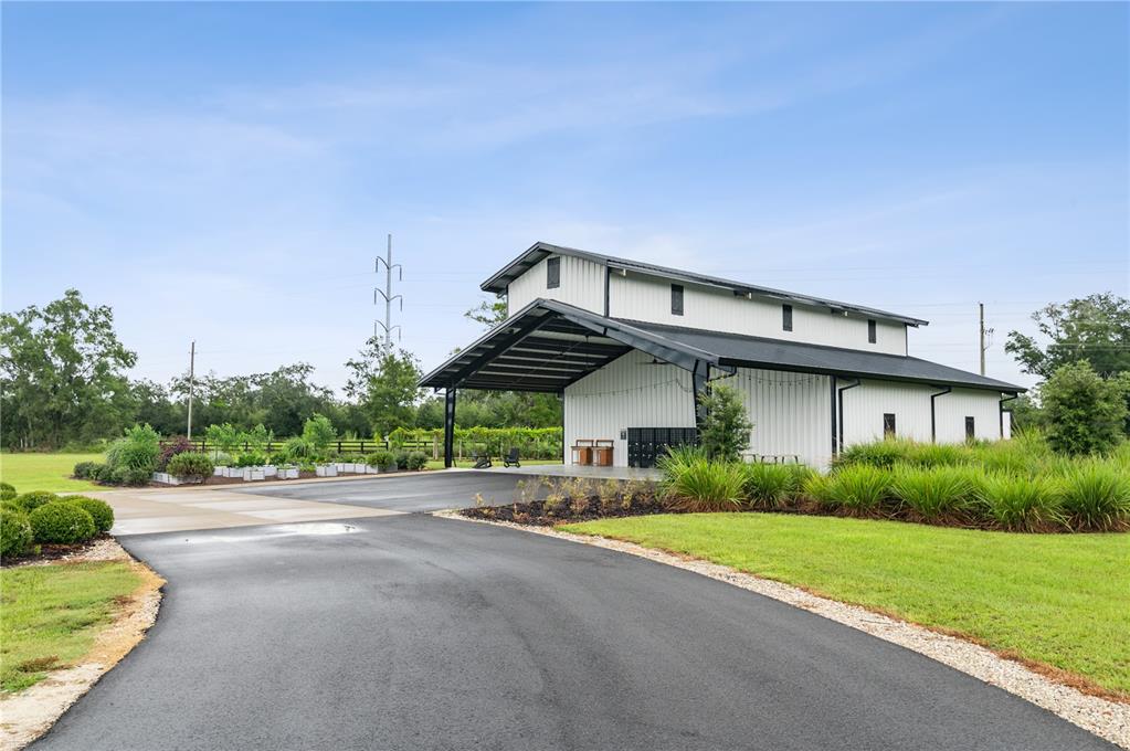 46 Southwest 125th Circle Archer, FL 32618 - Photo 6 of 12 a front view of a house with a yard and trees