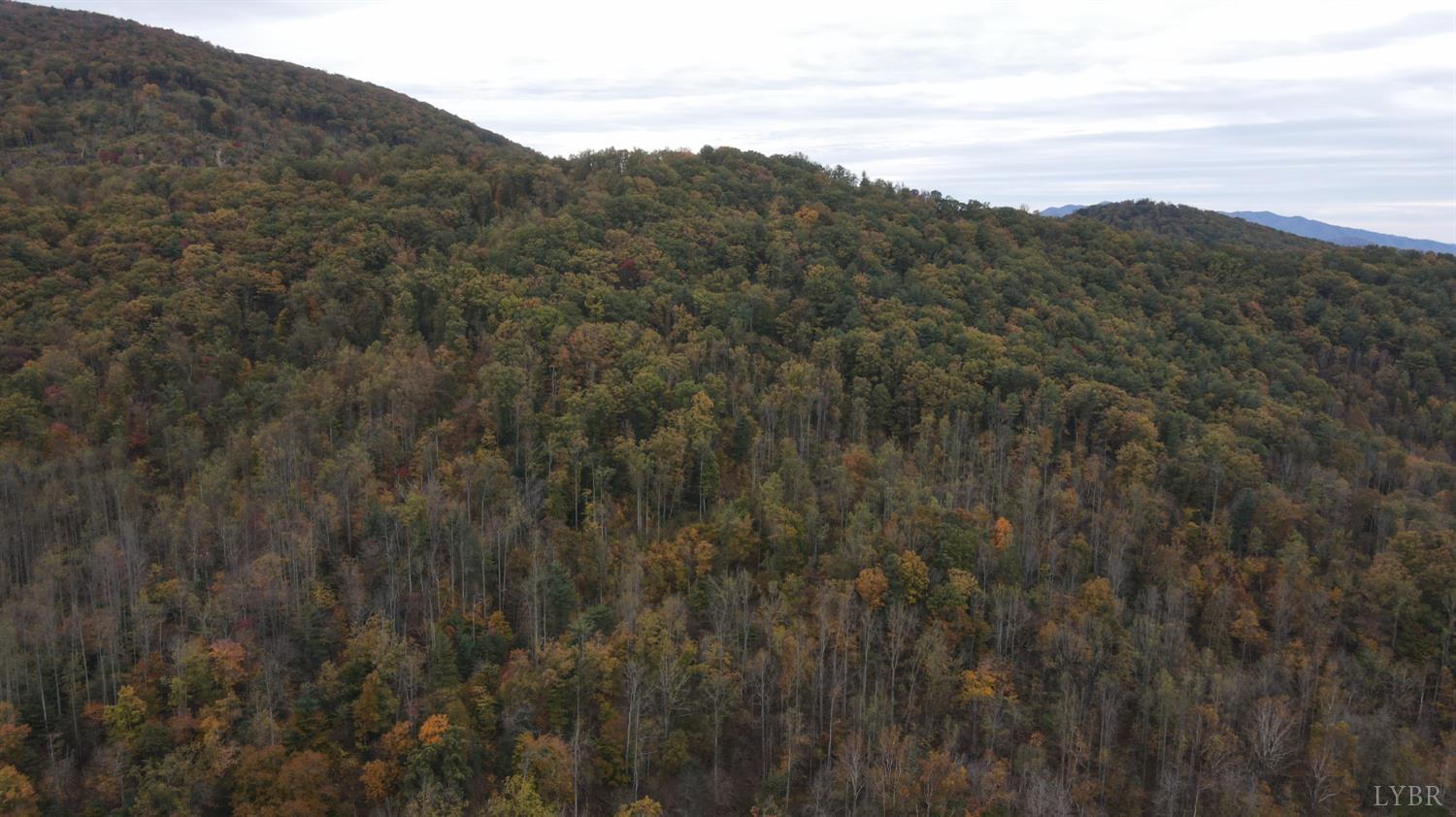 a view of a mountain range with trees in the background