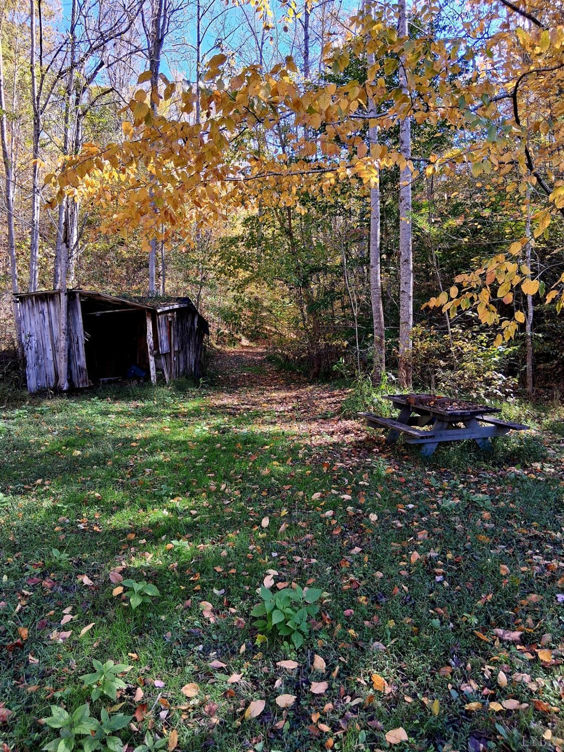 0 North Forks Road Amherst, VA 24521 - Photo 11 of 22 a view of a backyard