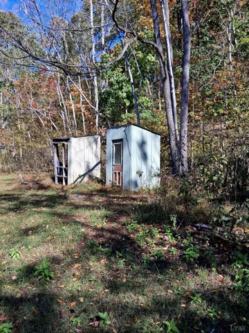 a view of backyard with tree