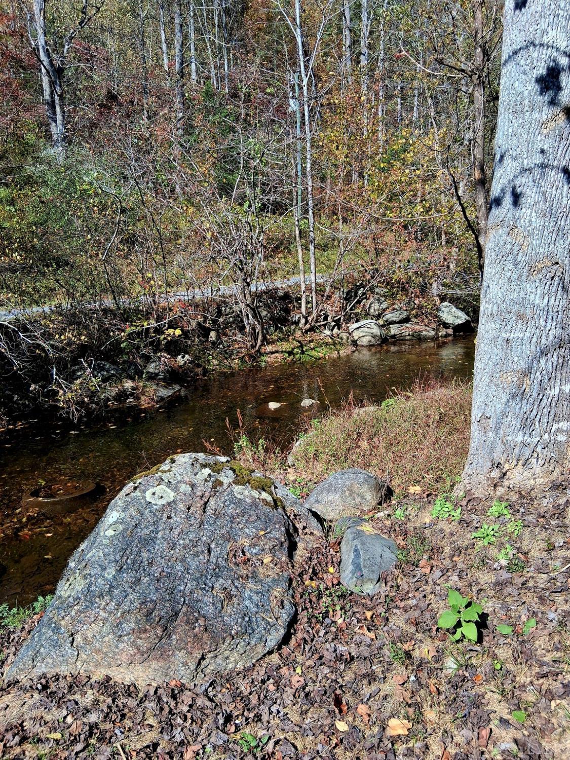 0 North Forks Road Amherst, VA 24521 - Photo 15 of 22 a view of lake