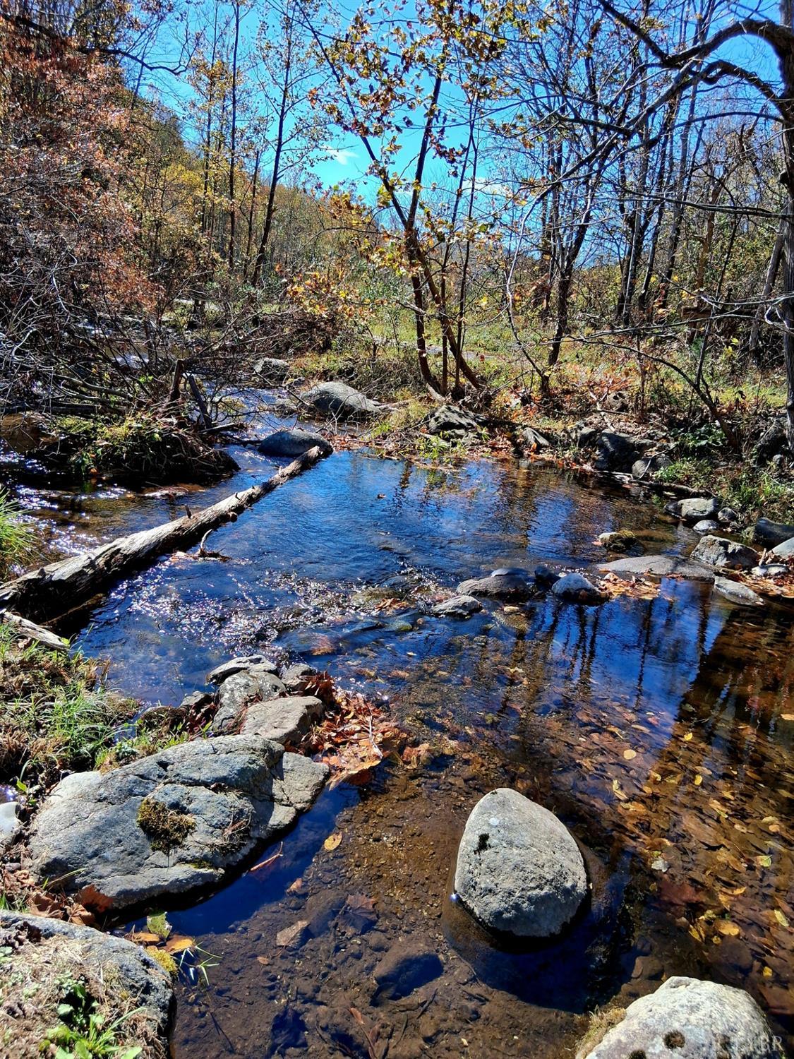 0 North Forks Road Amherst, VA 24521 - Photo 16 of 22 a view of a backyard of a house