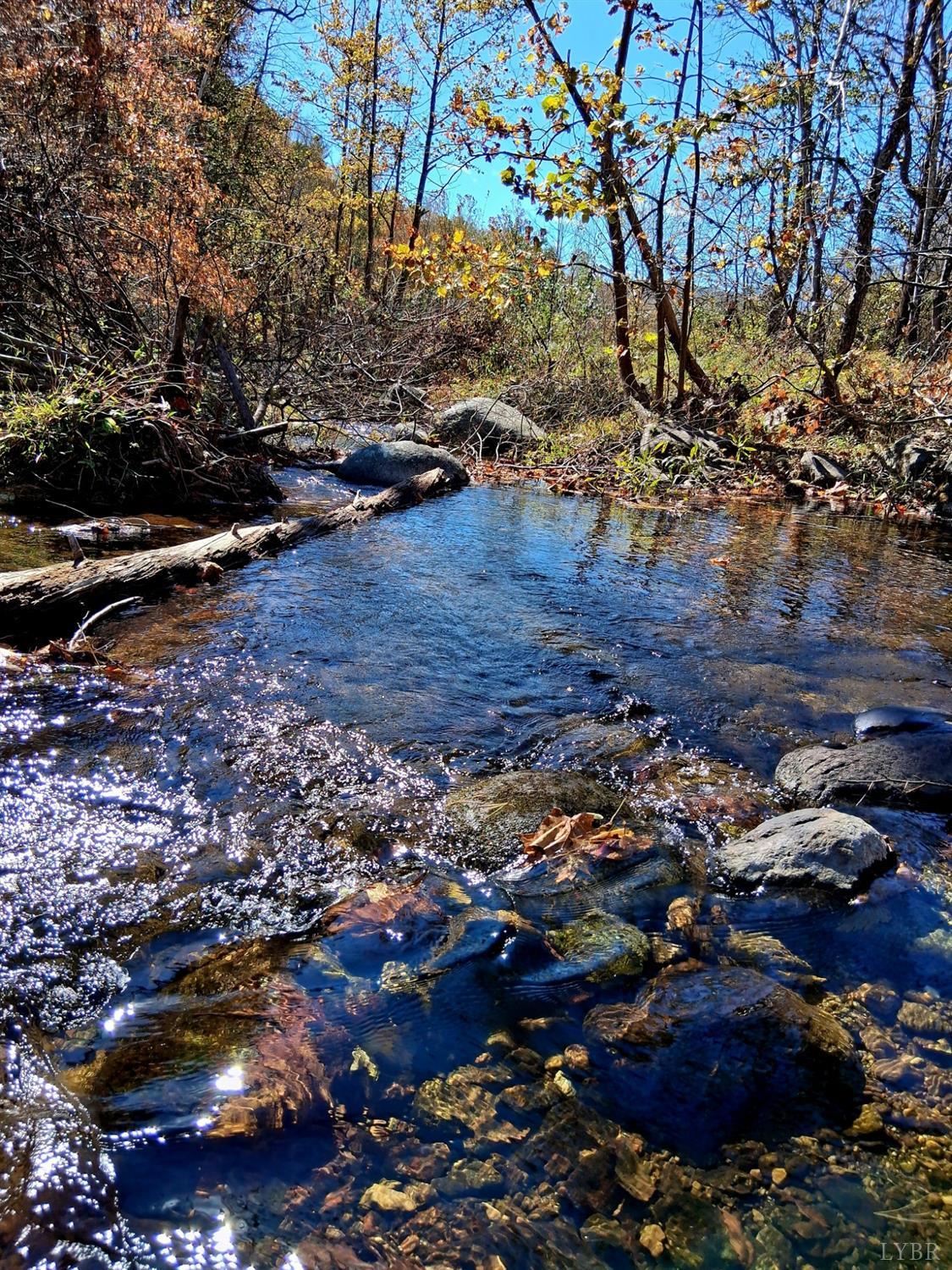 0 North Forks Road Amherst, VA 24521 - Photo 18 of 22 a view of outdoor space and a yard