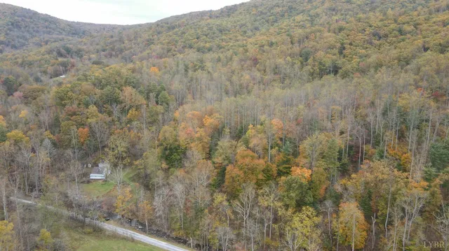 a view of a dry yard