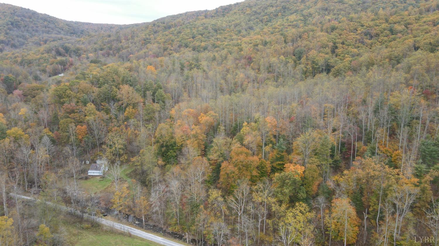 0 North Forks Road Amherst, VA 24521 - Photo 21 of 22 a view of a dry yard
