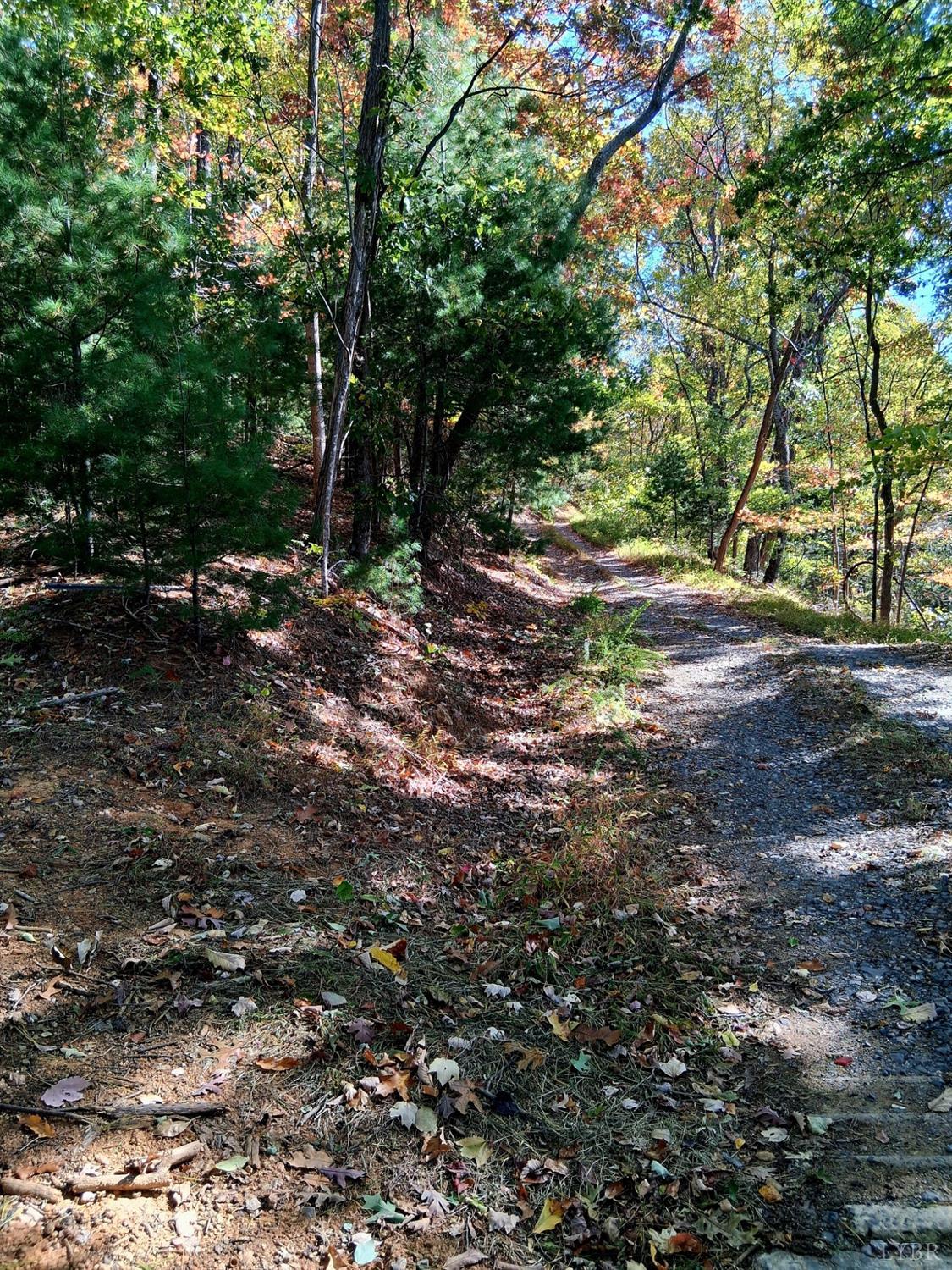 0 North Forks Road Amherst, VA 24521 - Photo 7 of 22 a view of a tree in the middle of a yard