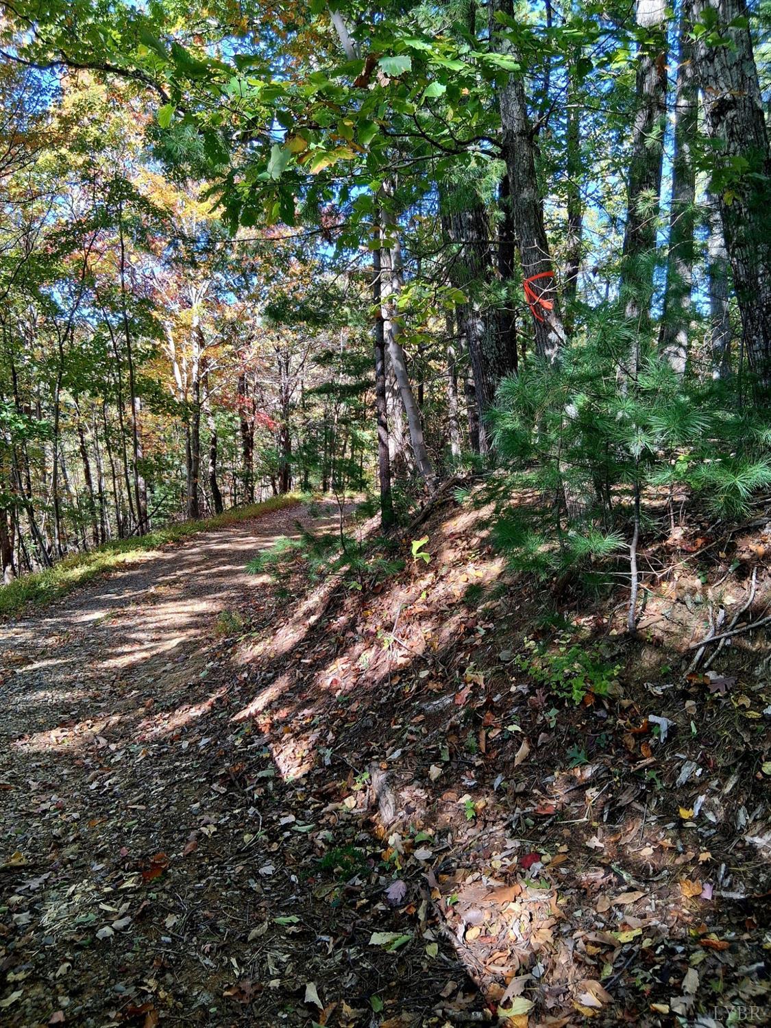 0 North Forks Road Amherst, VA 24521 - Photo 8 of 22 a view of street along with trees