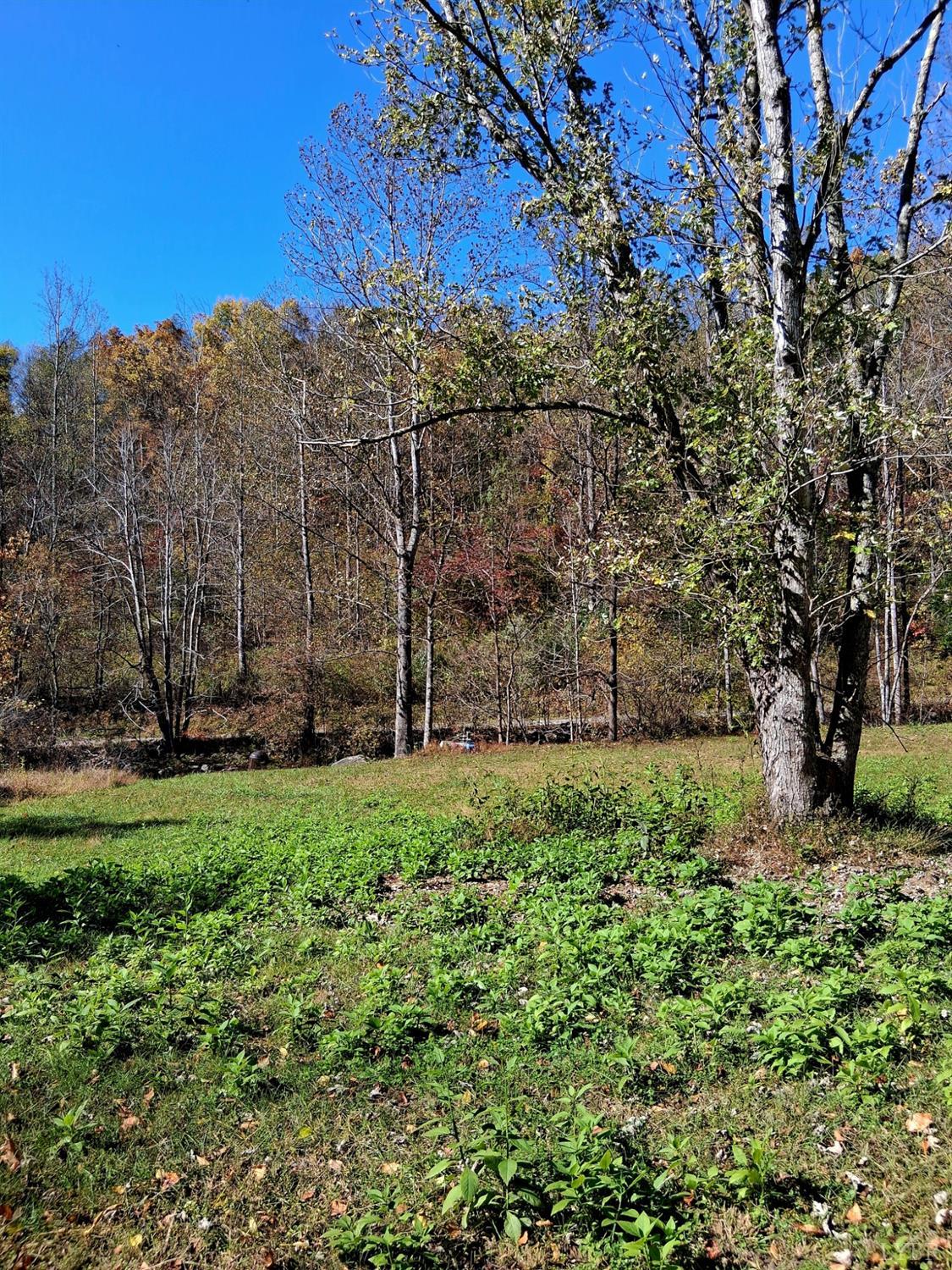 0 North Forks Road Amherst, VA 24521 - Photo 9 of 22 a view of a backyard with large trees