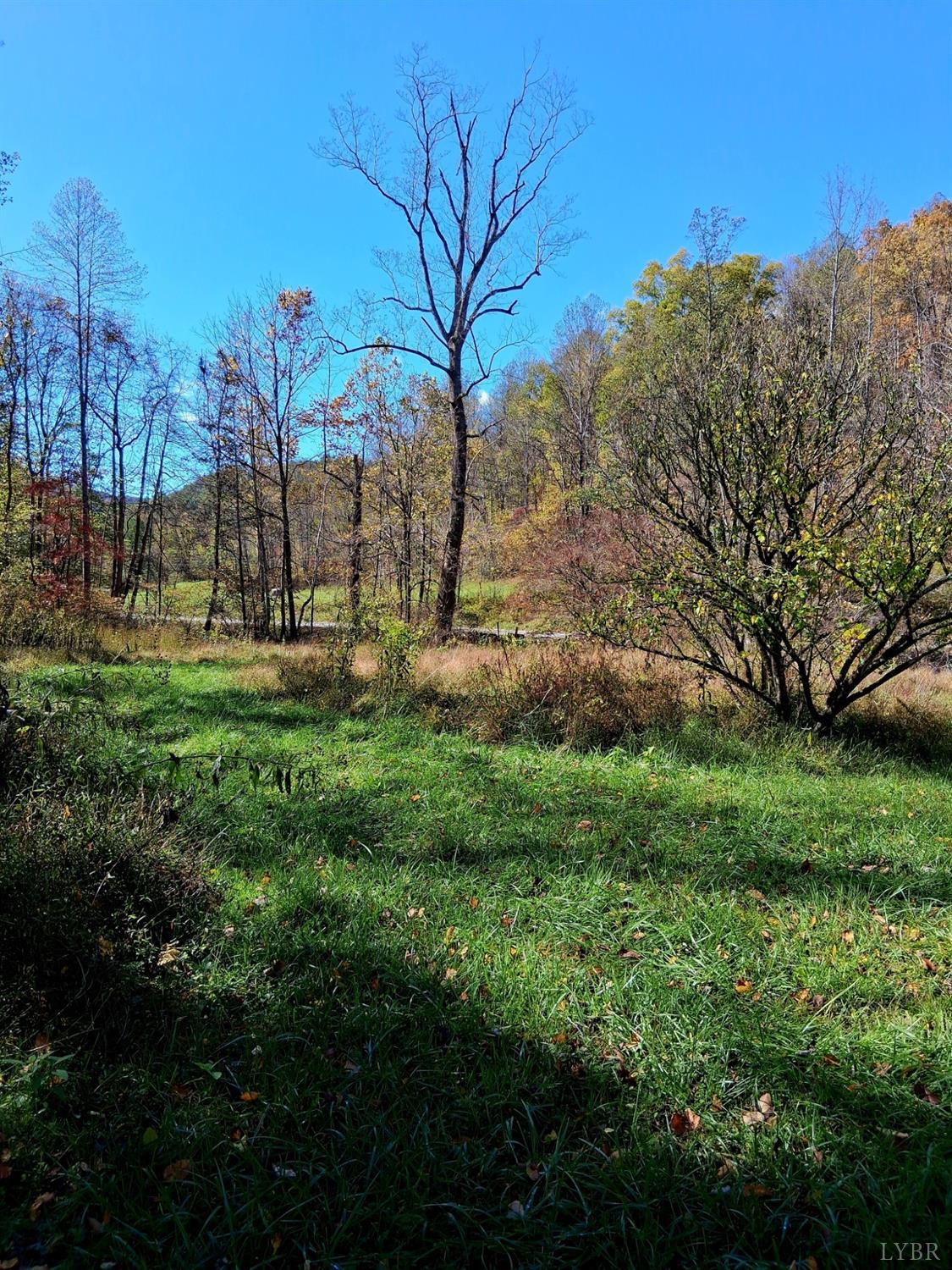 0 North Forks Road Amherst, VA 24521 - Photo 10 of 22 a backyard of a house with lots of green space