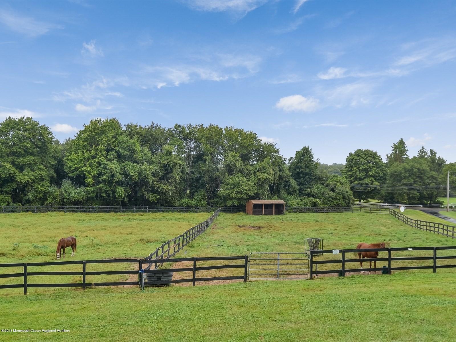 61 Baird Road Millstone Township, NJ 08535 - Photo 3 of 39 008_Paddocks