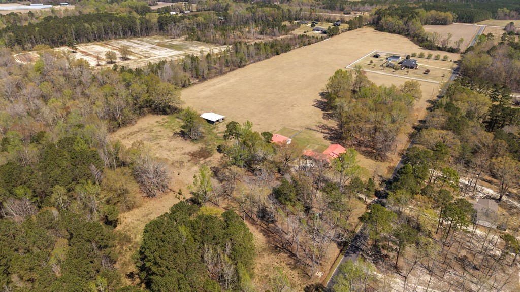 3795 Bart Davis Road Alcolu, SC 29001 - Photo 33 of 81