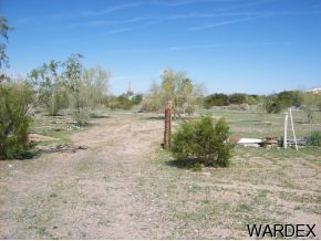 44127 East Ocotillo Bouse, AZ 85325 - Photo 3 of 4 a view of a dry yard with trees in the background