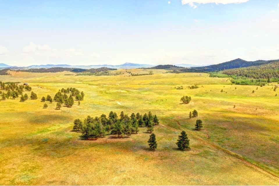 0 Ranch Road Hartsel, CO 80449 - Photo 6 of 24 Gallery Image 6