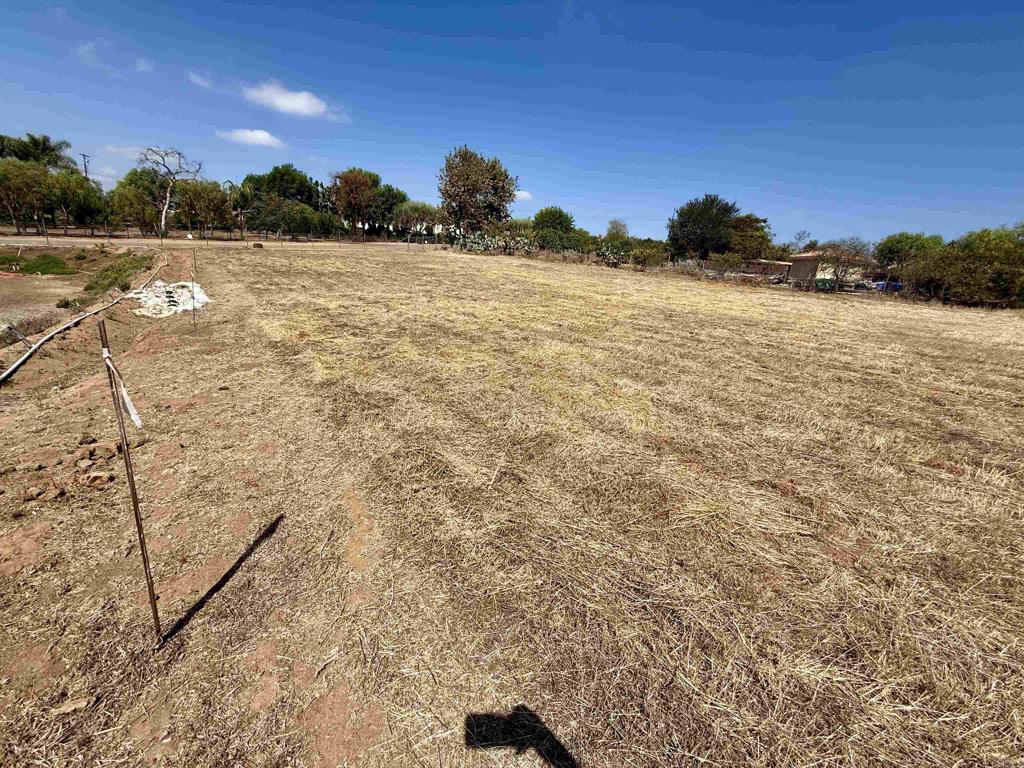 1916 Grey Rabbit Hollow Lane Fallbrook, CA 92028 - Photo 20 of 22 Gallery Image 20