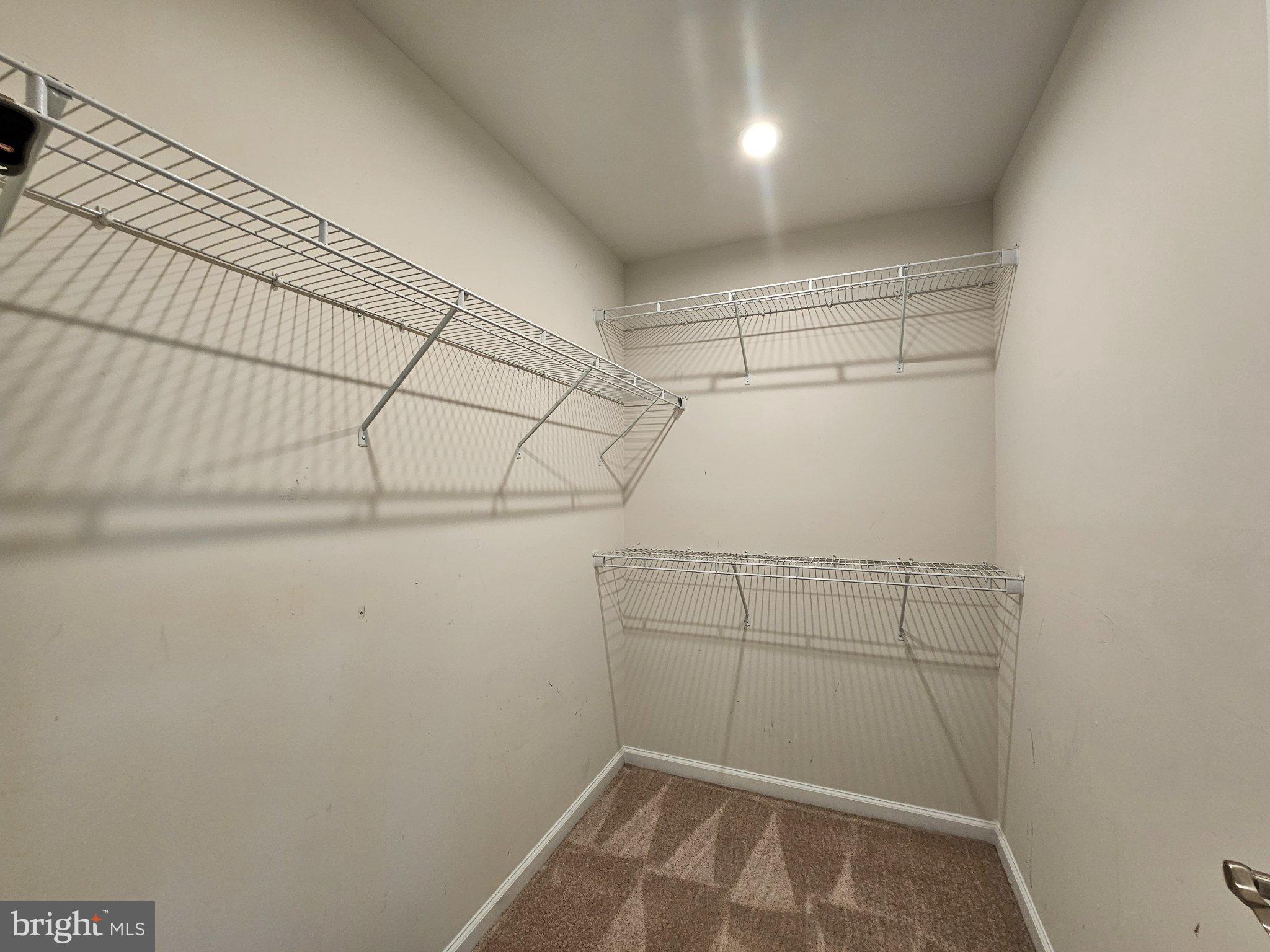 9367 Mulligan Way Delmar, MD 21875 - Photo 23 of 38 Spacious closet with organized shelving.