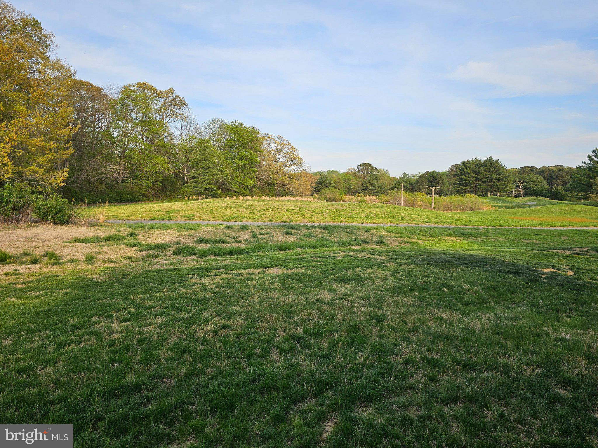 9367 Mulligan Way Delmar, MD 21875 - Photo 37 of 38 Serene landscape with lush greenery.