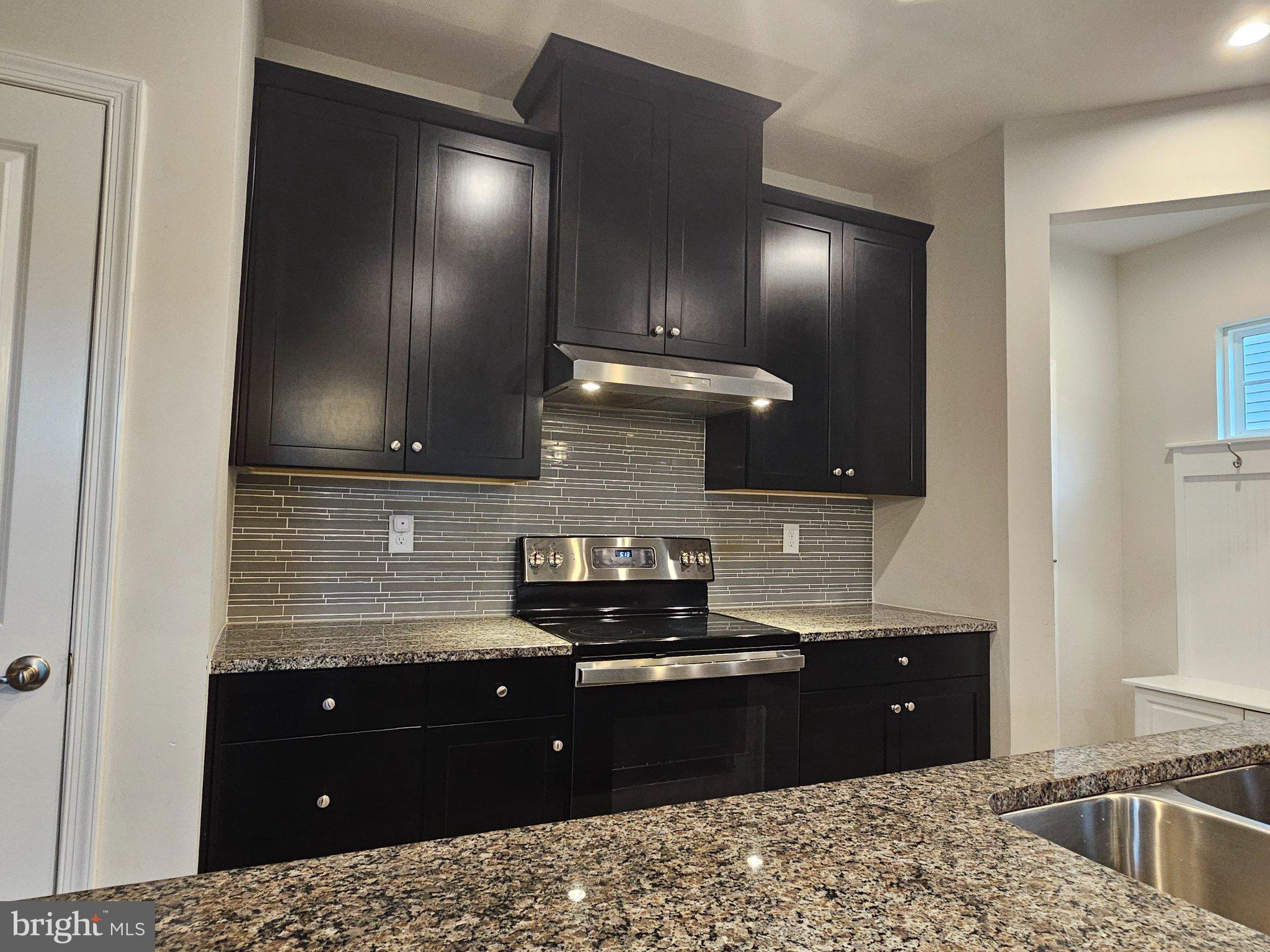 9367 Mulligan Way Delmar, MD 21875 - Photo 9 of 38 Sleek modern kitchen with elegance.