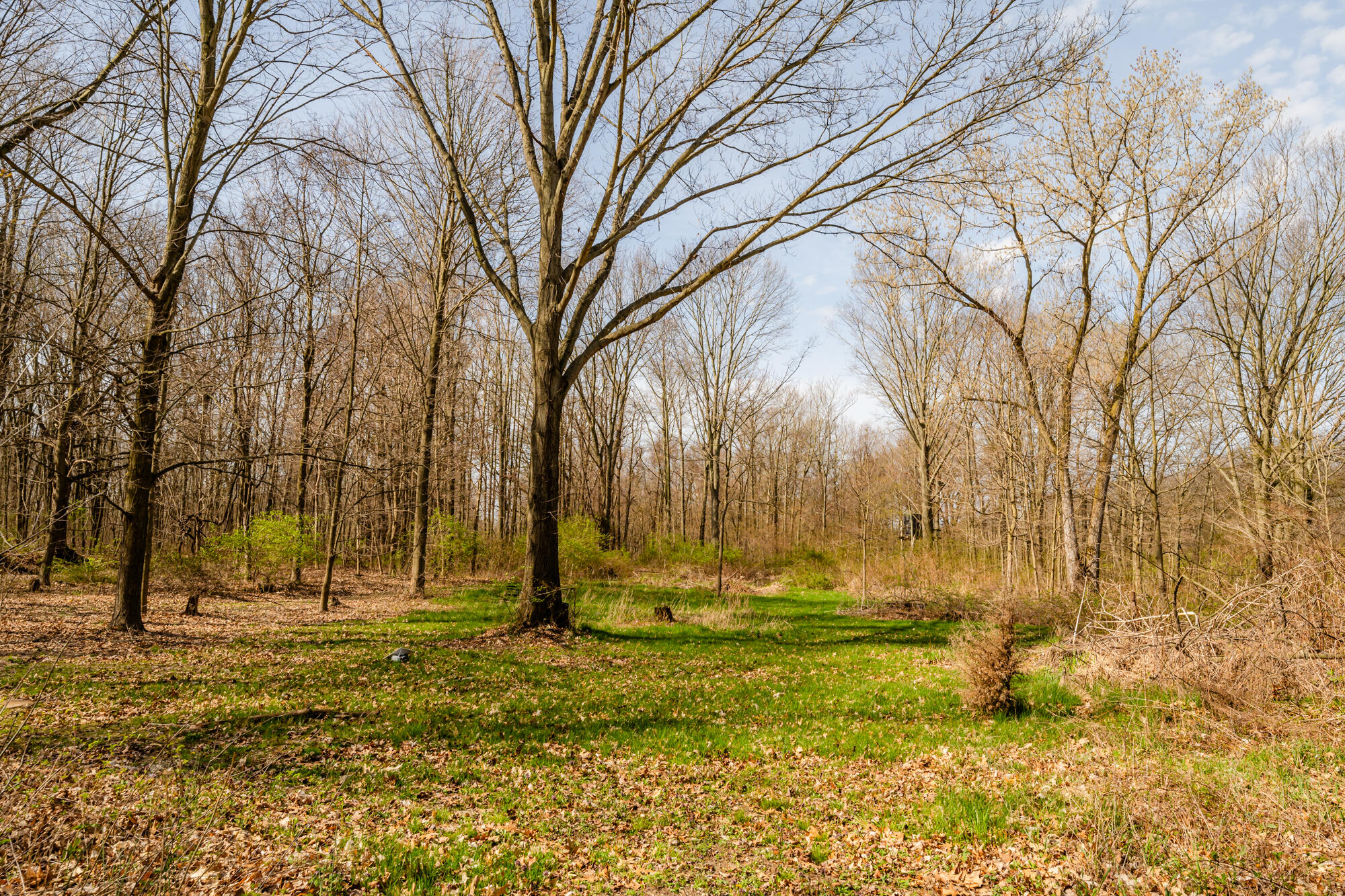 2200 Riverside Road Benton Harbor, MI 49022 - Photo 10 of 14 Riverside-107