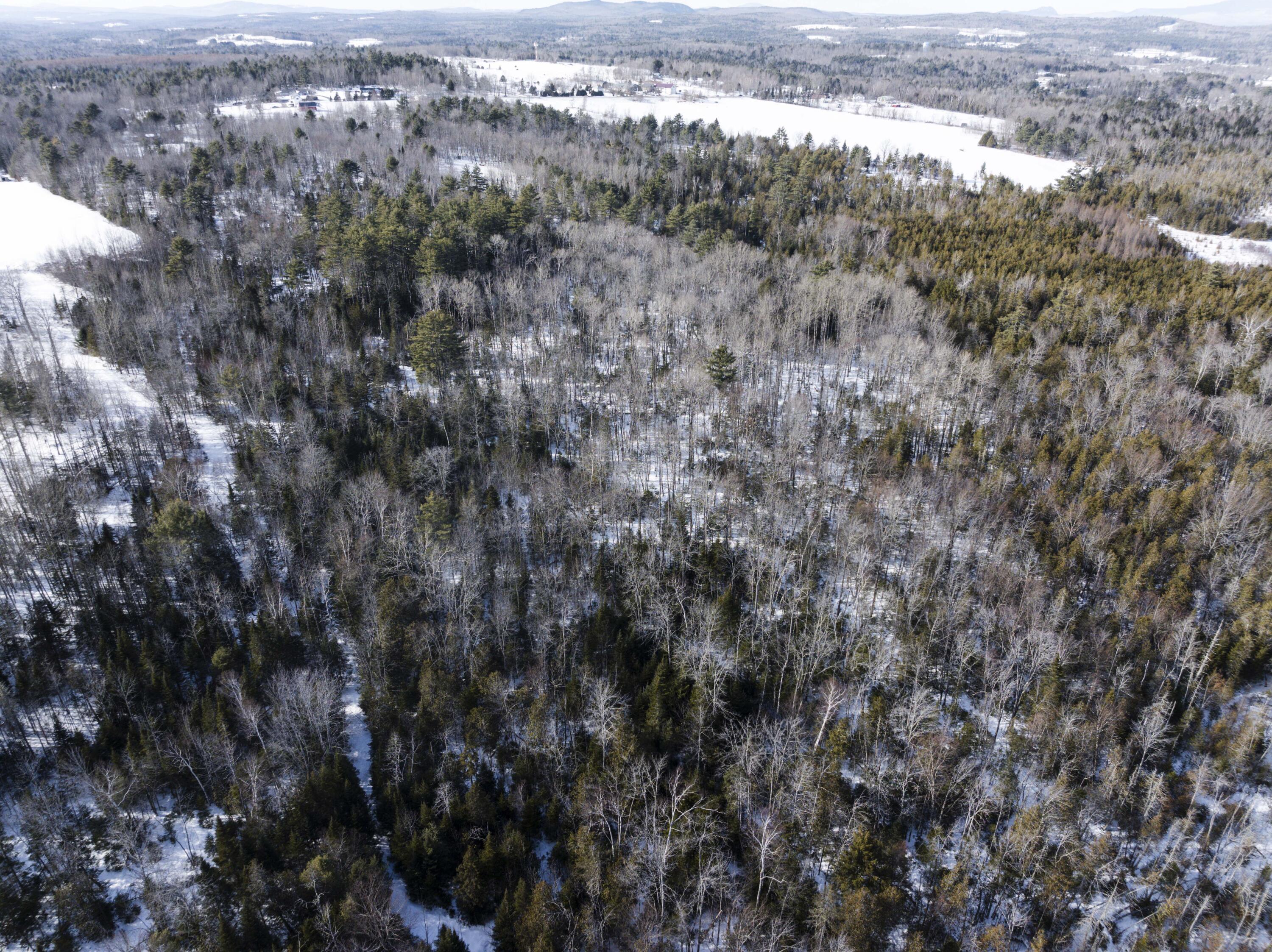 Dover-foxcroft Paine Road Dover-Foxcroft, ME 04426 - Photo 12 of 20 DJI_20240219025853_0014_D