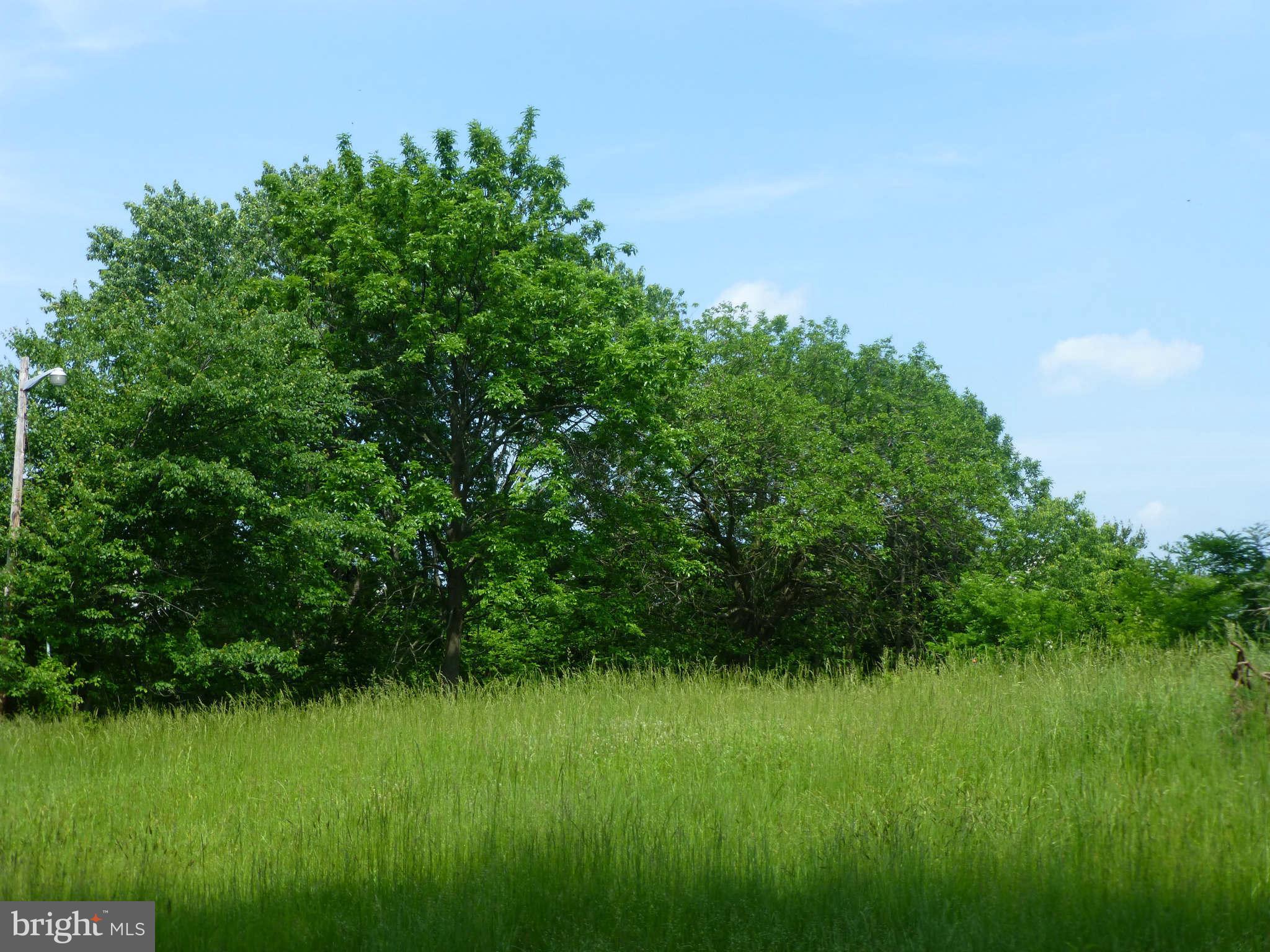 8129 Bethlehem Road Manassas, VA 20109 - Photo 2 of 19 View
