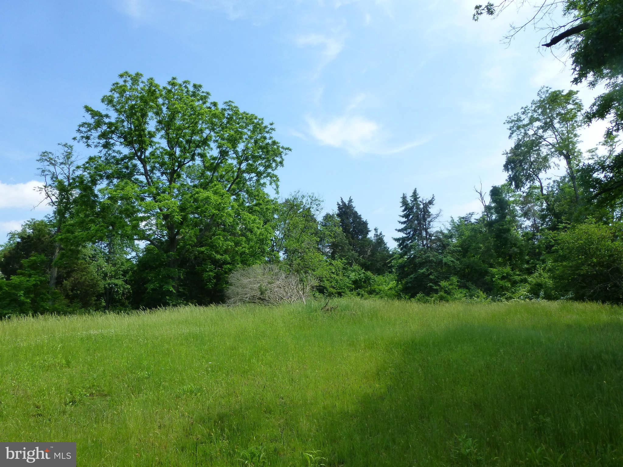 8129 Bethlehem Road Manassas, VA 20109 - Photo 7 of 19 View