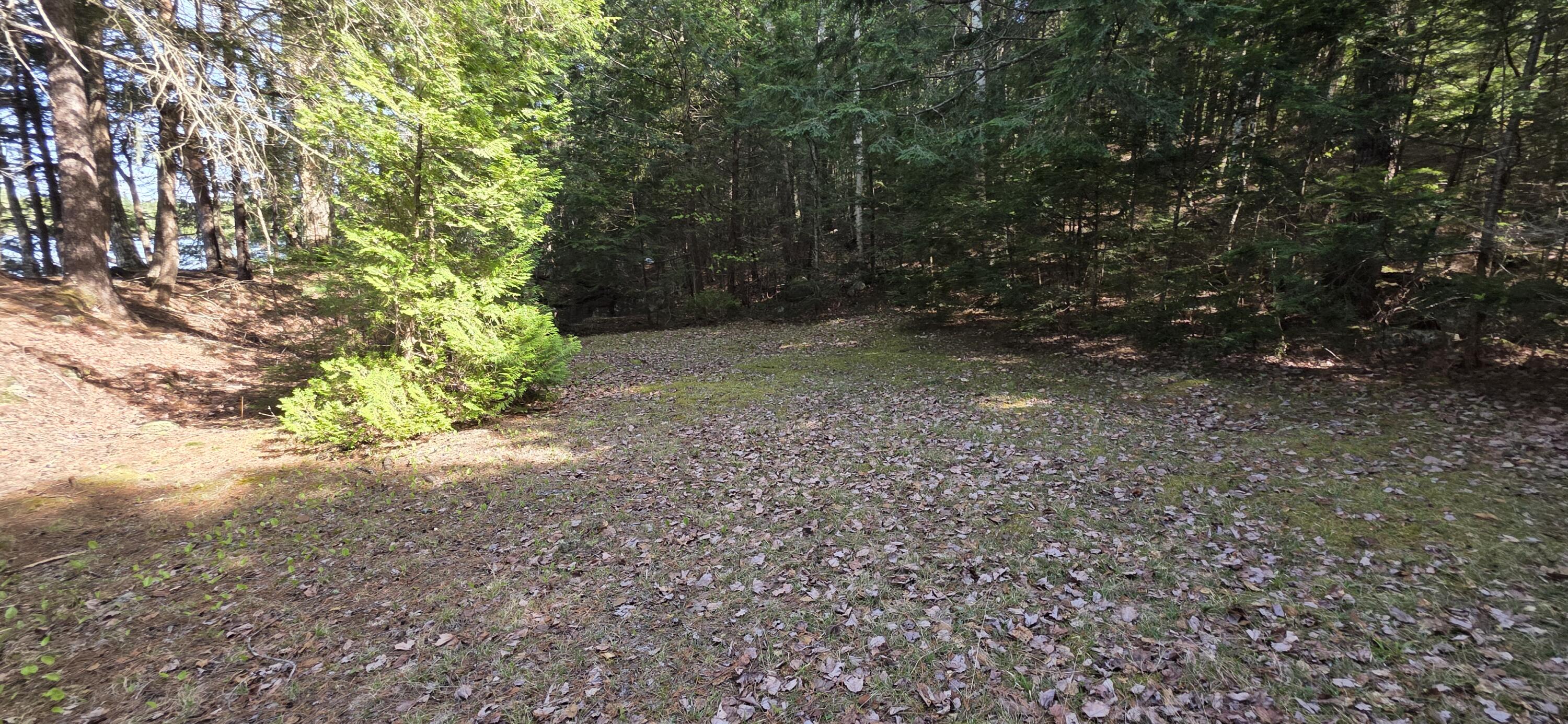 1261 Turkey Tail Road Millinocket, ME 04462 - Photo 5 of 41 20250515_152834