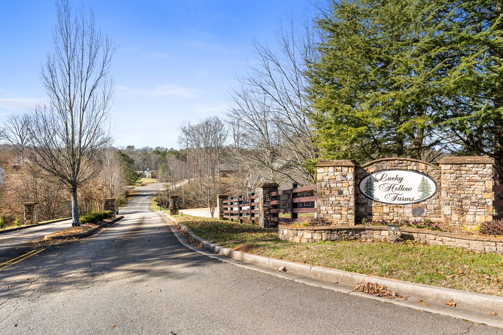 41 Brumby Trail Ellijay, GA 30536 - Photo 39 of 39