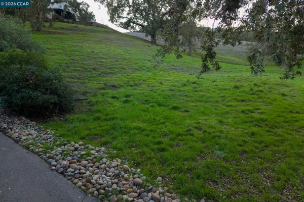 a view of a green field with lots of bushes