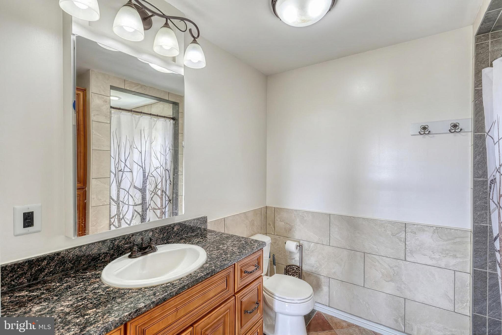 12534 Mt Olivet Road Felton, PA 17322 - Photo 34 of 75 a bathroom with a granite countertop sink a toilet and a mirror