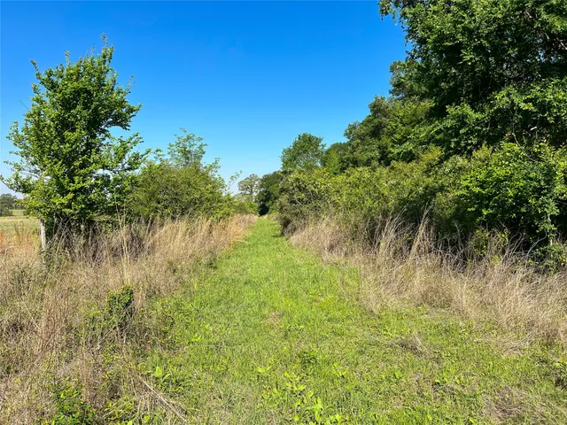 $550,000 | 344 Marquez Tx 77865, Marquez, TX 77865