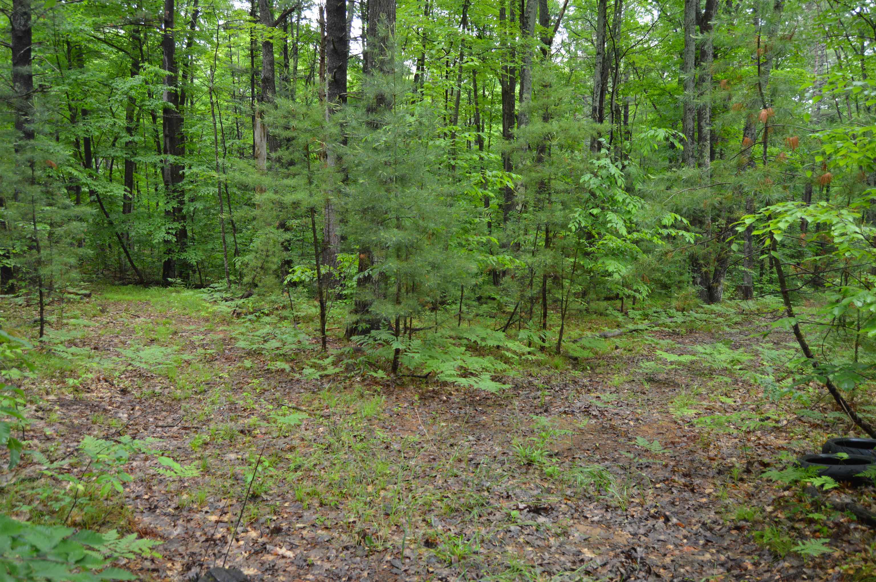 0 Wheeler Oaks Road Williamsburg, MI 49690 - Photo 4 of 23 Gallery Image 4