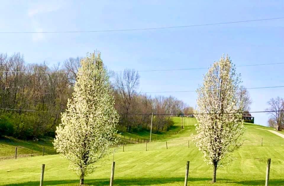1 A Bakers Acrs Road Carlisle, KY 40311 - Photo 4 of 11 bakers acre 10