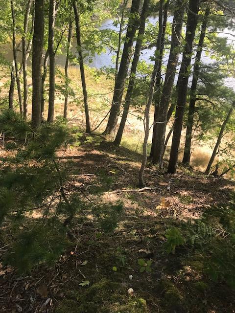 417 Castine Road Orland, ME 04472 - Photo 37 of 48 IMG_1597 (1)