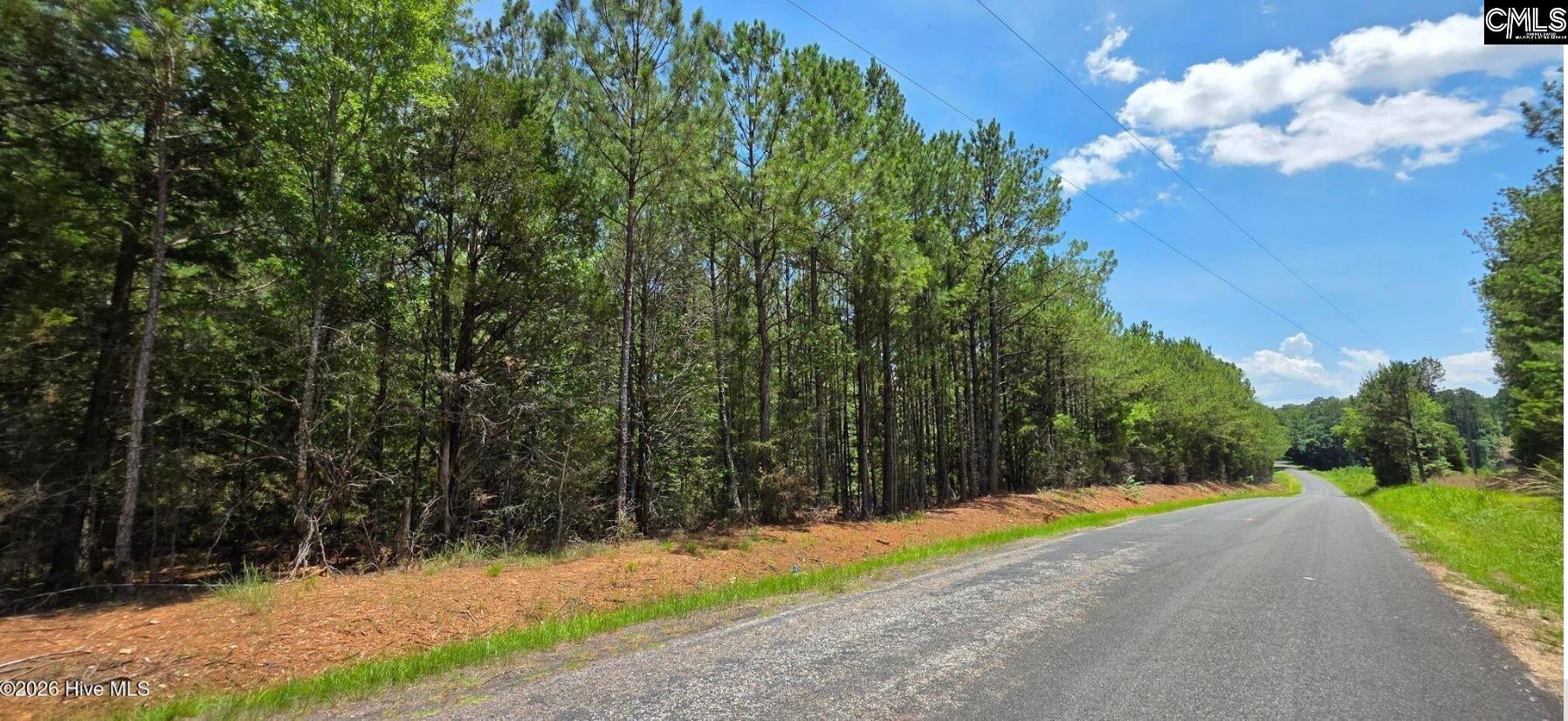 20-acres Chestnut Ridge Road McCormick, SC 29835 - Photo 4 of 4 Gallery Image 4