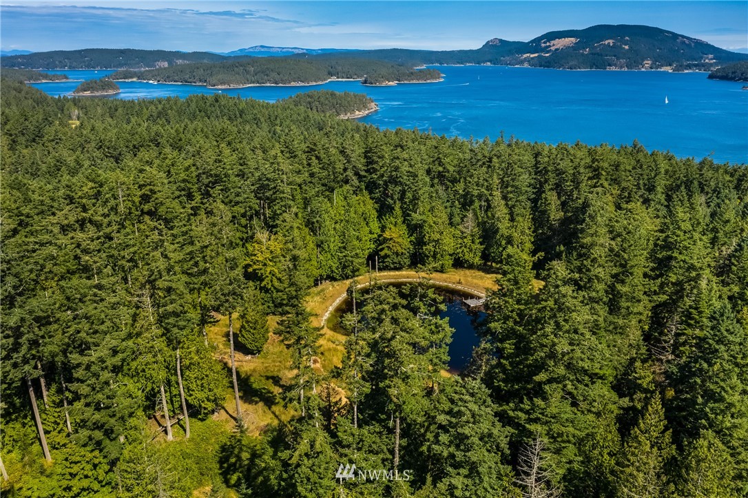1 Serendipity Lane Shaw Island, WA 98286 - Photo 1 of 13 a view of a field with an ocean