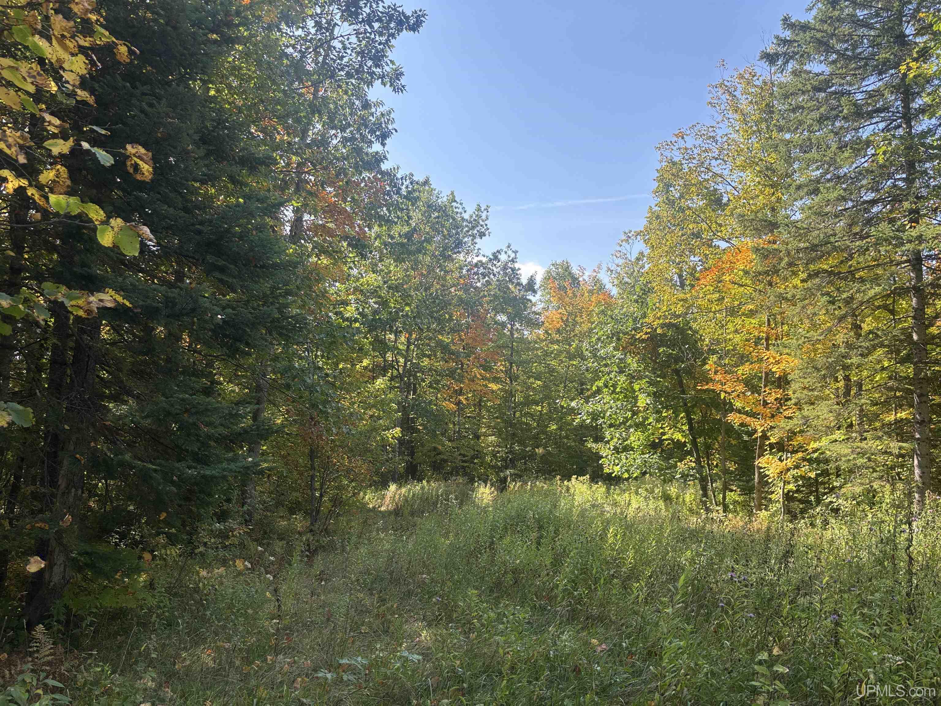 Tbd Plymouth Road Wakefield, MI 49968 - Photo 20 of 27