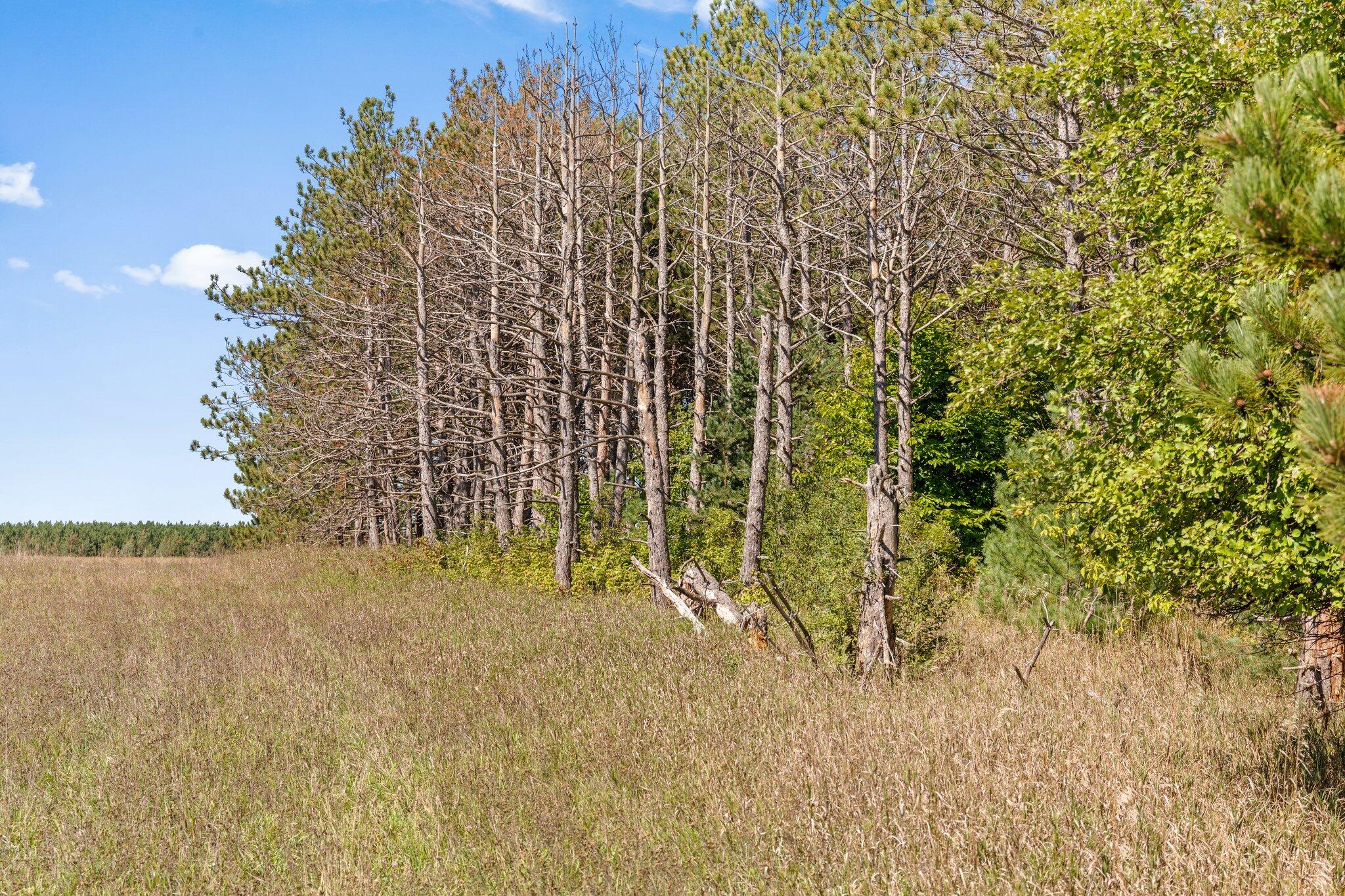Krys Road Gaylord, MI 49735 - Photo 5 of 23 Gallery Image 5