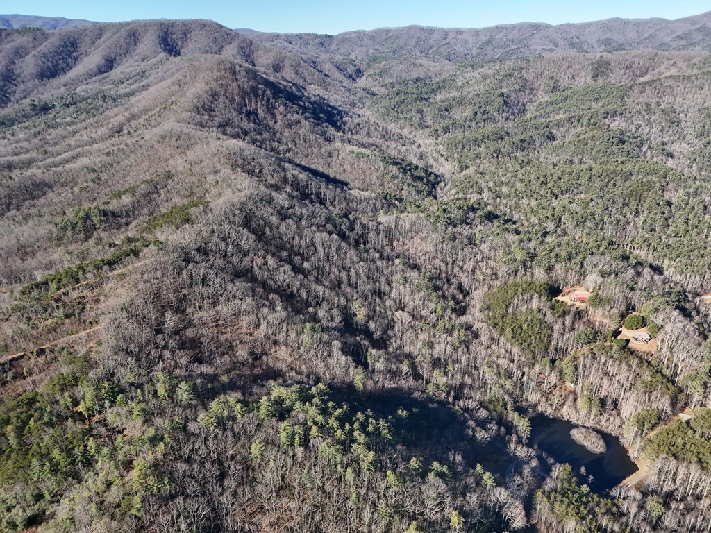 5-acres Hells Holw Way Blue Ridge, GA 30513 - Photo 36 of 43 Gallery Image 36